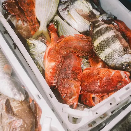 Marina * Ла-Санта